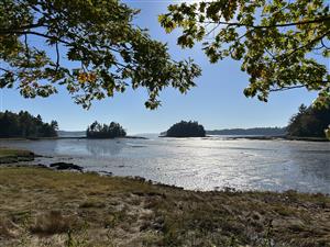 View of Strawberry Creek