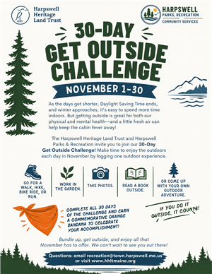 Nov Challenge